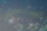 
DSC00029
